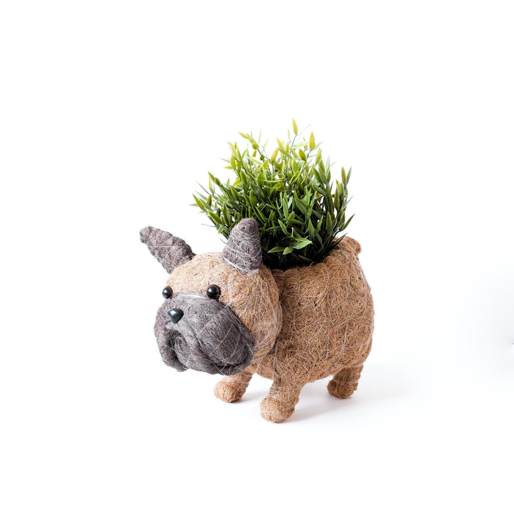 French Bulldog Planter - Che Cose Belle