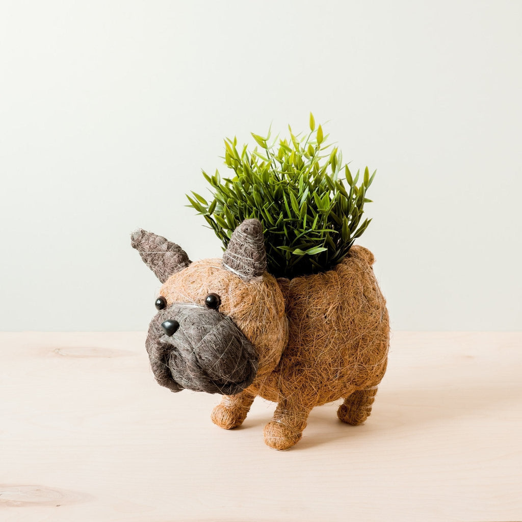 French Bulldog Planter - Che Cose Belle
