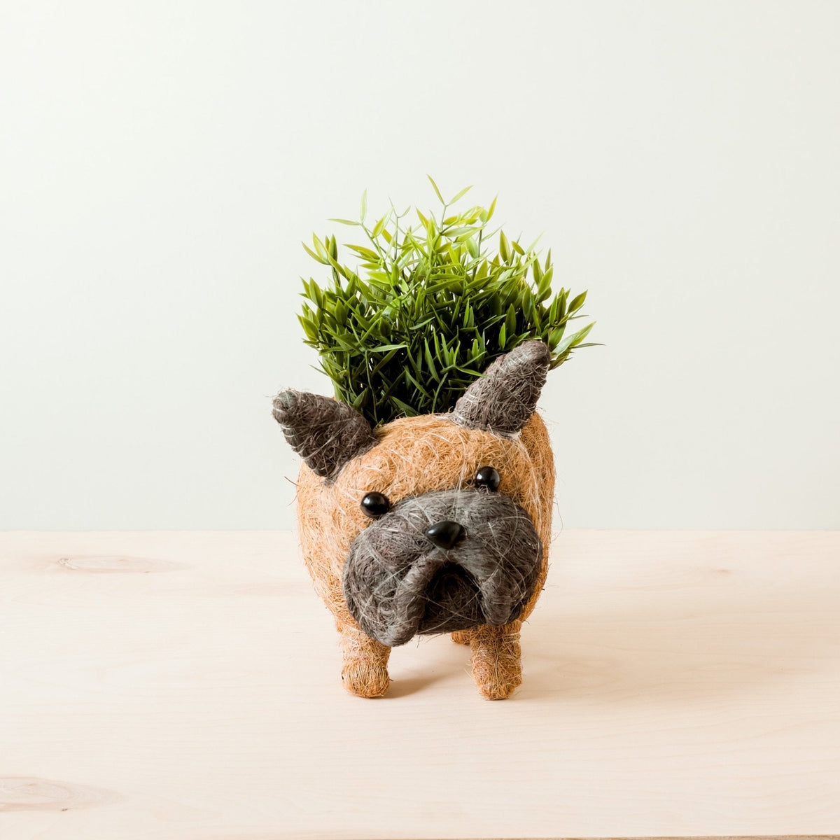 French Bulldog Planter - Che Cose Belle