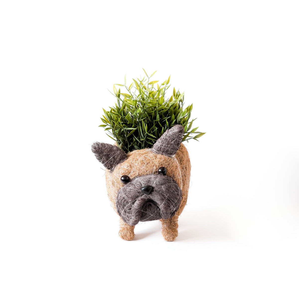 French Bulldog Planter - Che Cose Belle