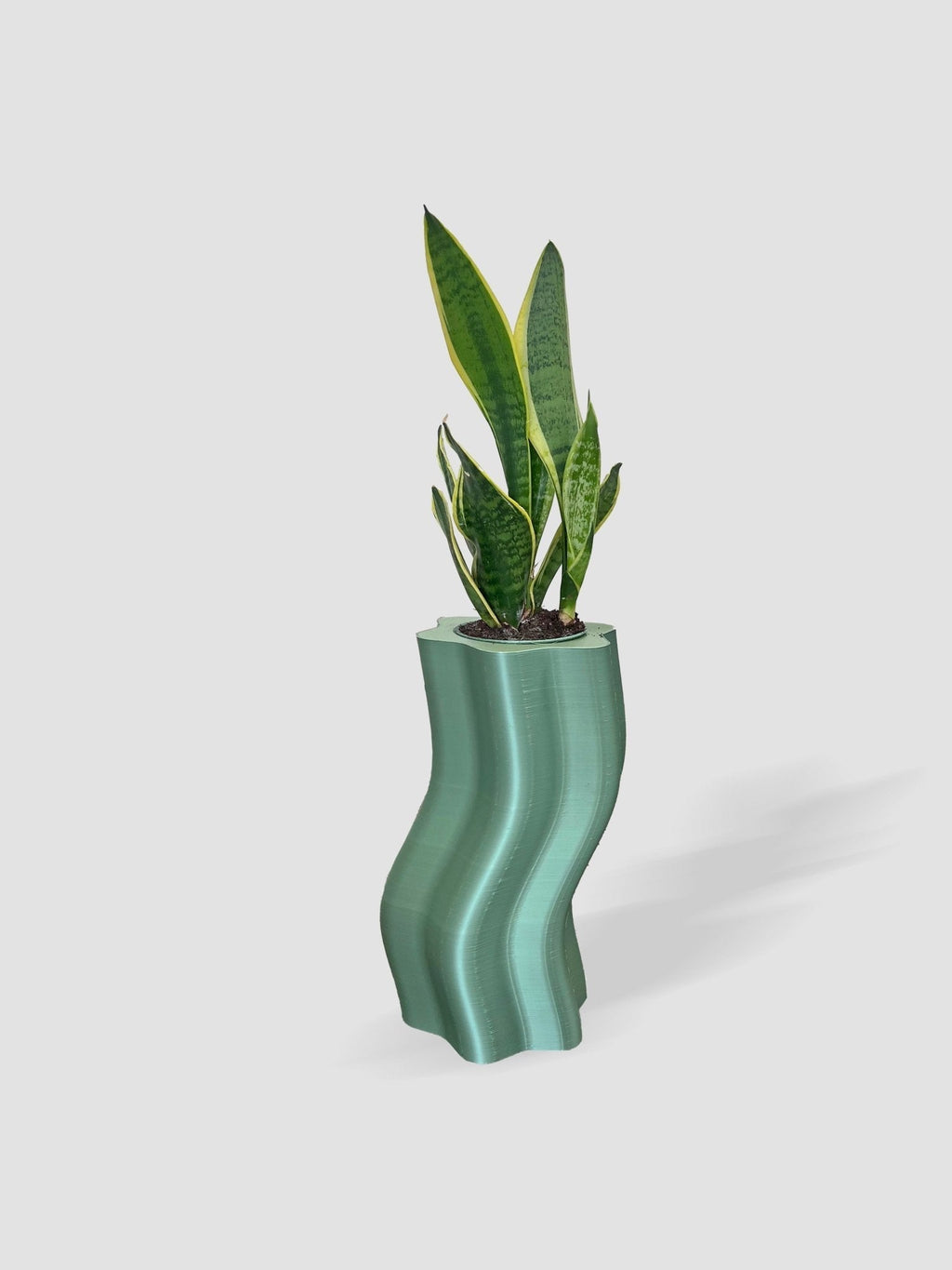 Frosting Large Planters - Che Cose Belle