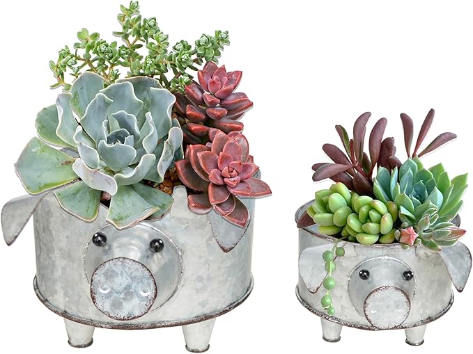 Galvanized Metal Pig Succulent Planter Farmhouse Pig Shaped Bowl Metal Pig Tray Rustic Decor Set of 2 - Che Cose Belle