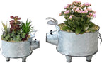Galvanized Metal Pig Succulent Planter Farmhouse Pig Shaped Bowl Metal Pig Tray Rustic Decor Set of 2 - Che Cose Belle
