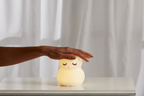 Owl Silicone Night Light