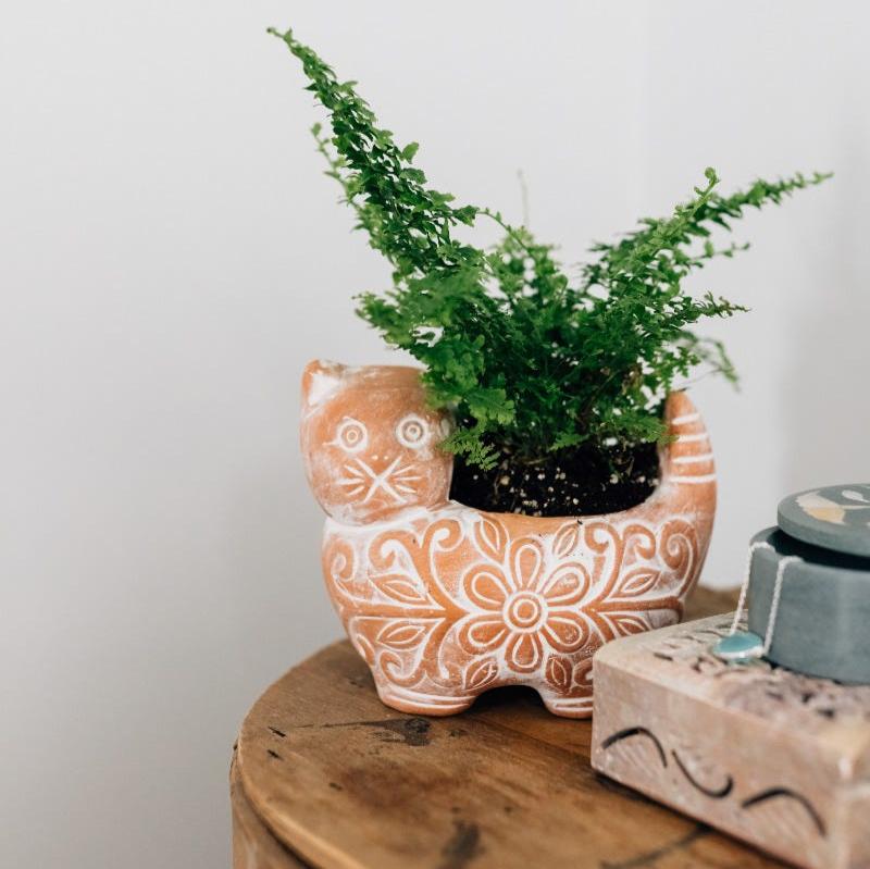 Garden Kitty Planter - Che Cose Belle