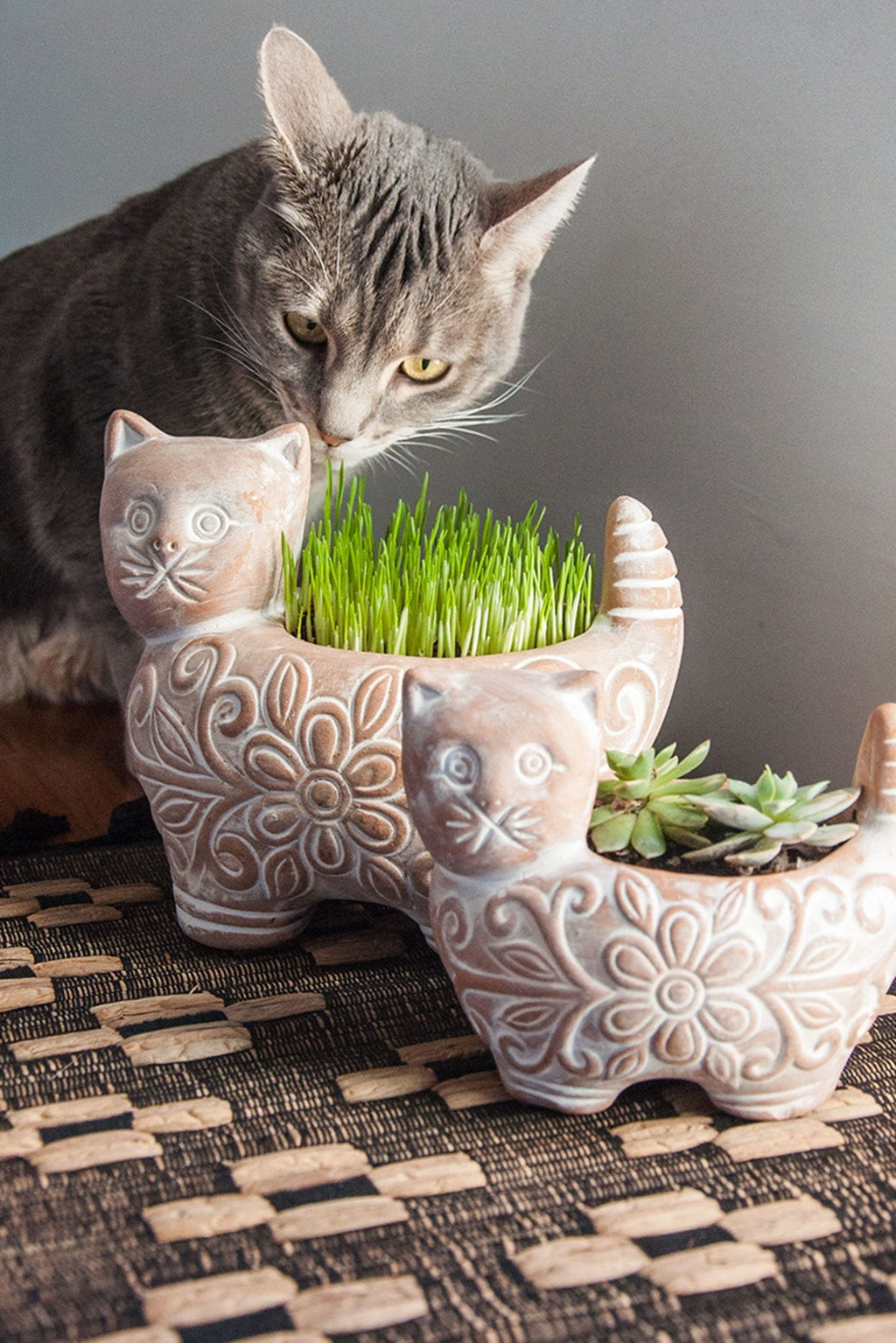 Garden Kitty Planter - Che Cose Belle