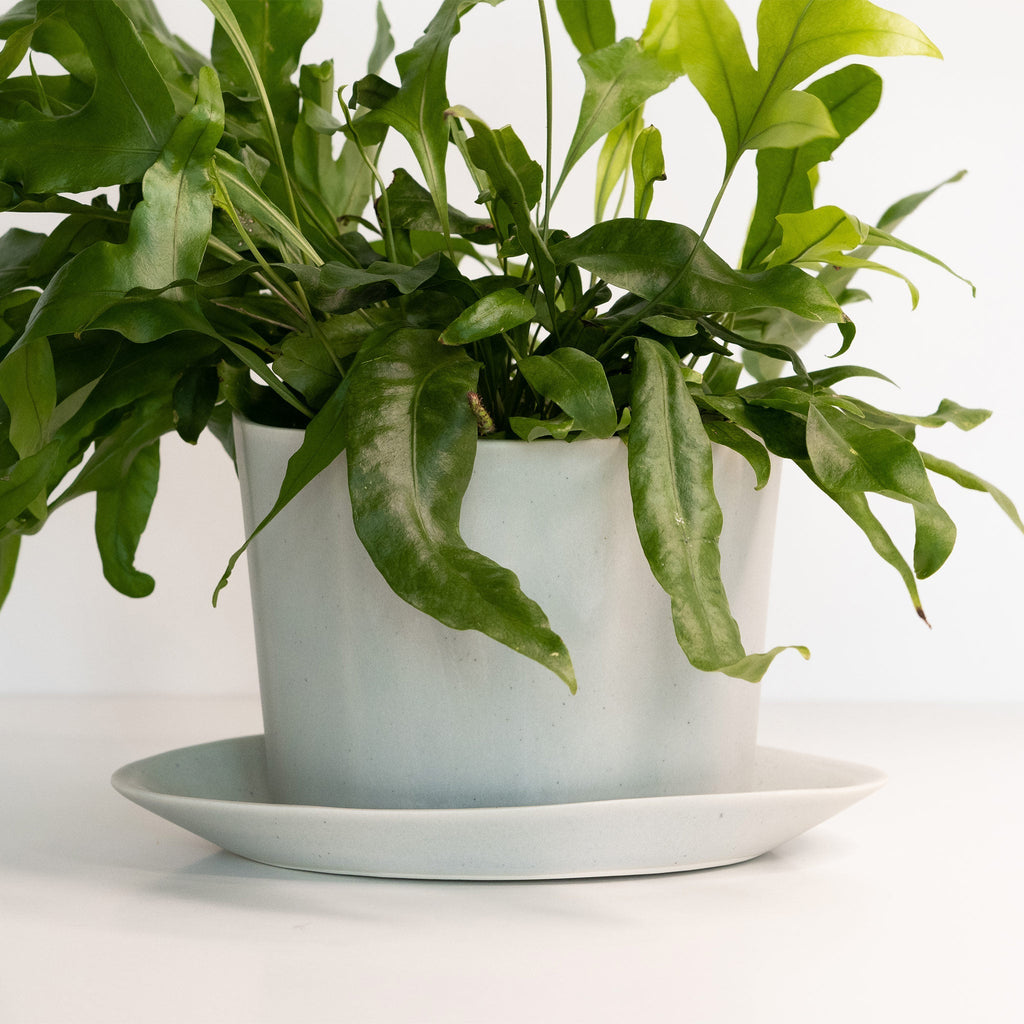 Geometric Oval Handmade Porcelain Planter - Che Cose Belle