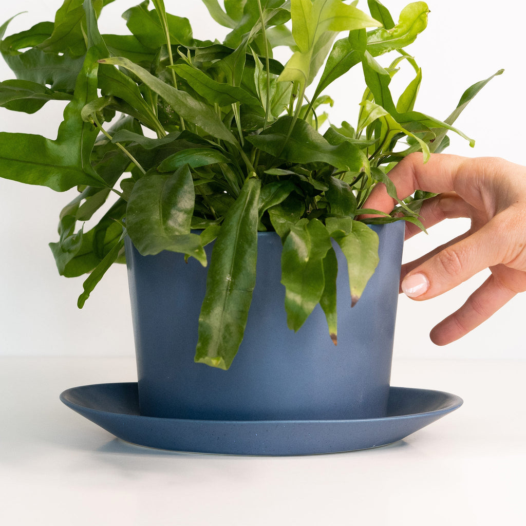 Geometric Oval Handmade Porcelain Planter - Che Cose Belle