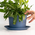 Geometric Oval Handmade Porcelain Planter - Che Cose Belle