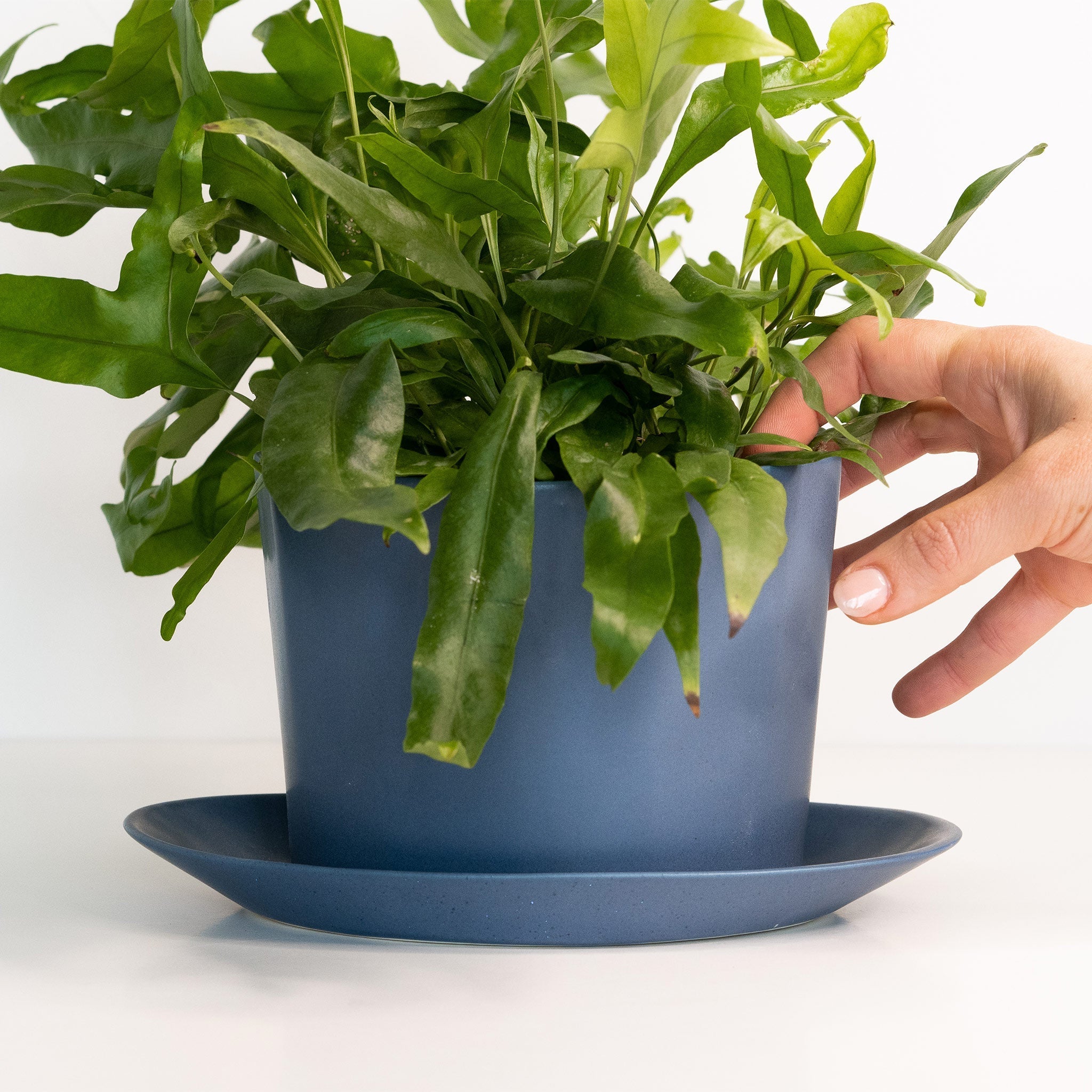 Geometric Oval Handmade Porcelain Planter - Che Cose Belle
