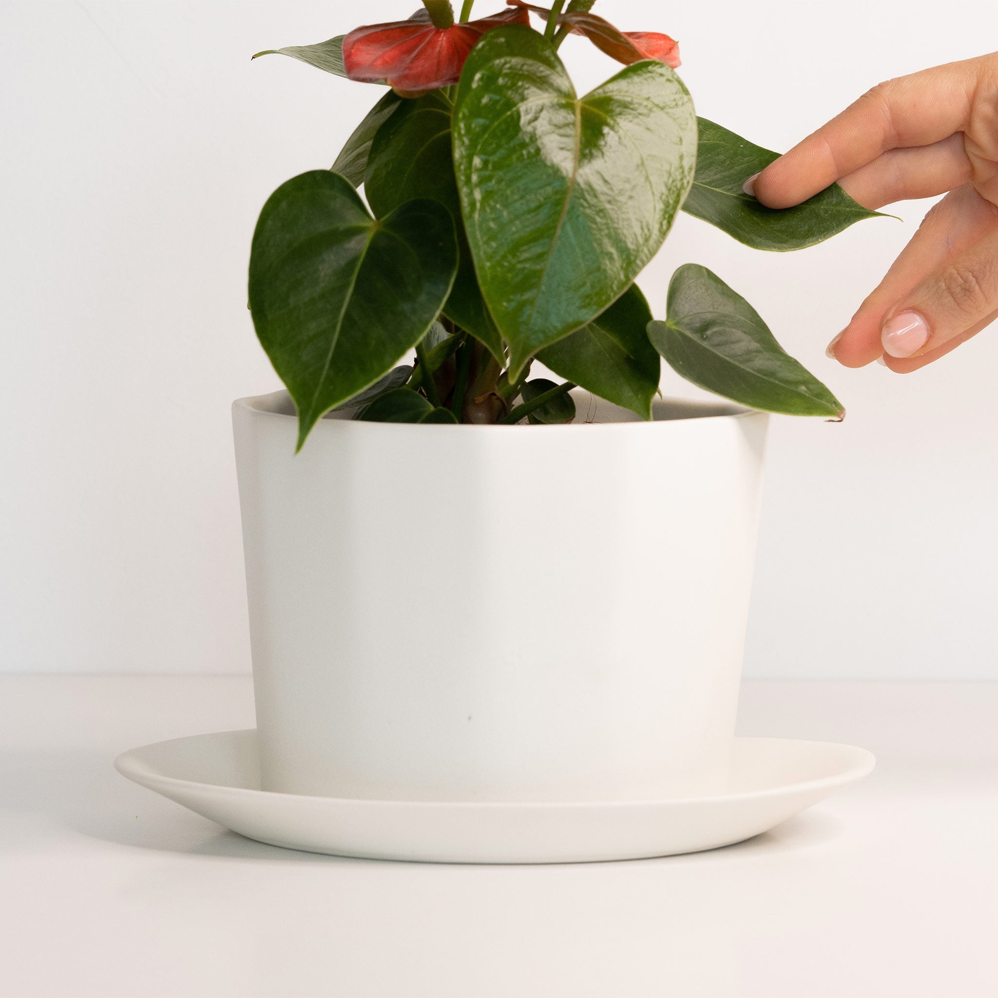 Geometric Oval Handmade Porcelain Planter - Che Cose Belle