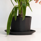 Geometric Oval Handmade Porcelain Planter - Che Cose Belle