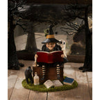 Ghost Stories Witch | Halloween Decor | Bethany Lowe