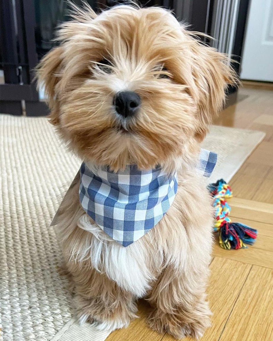 GINGHAM BANDANA - Che Cose Belle