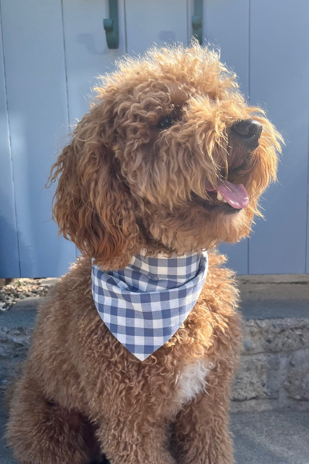 GINGHAM BANDANA - Che Cose Belle