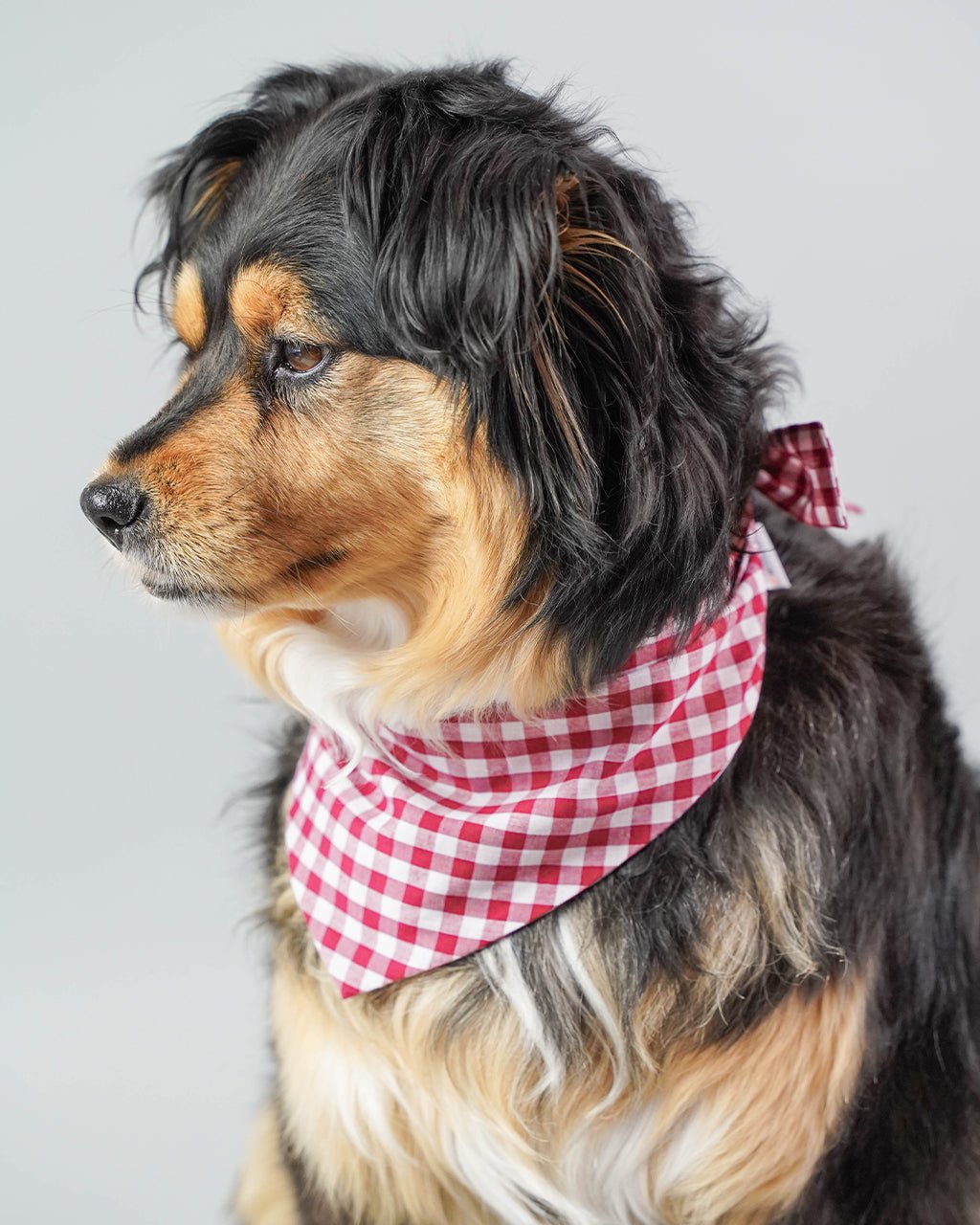 GINGHAM BANDANA - Che Cose Belle