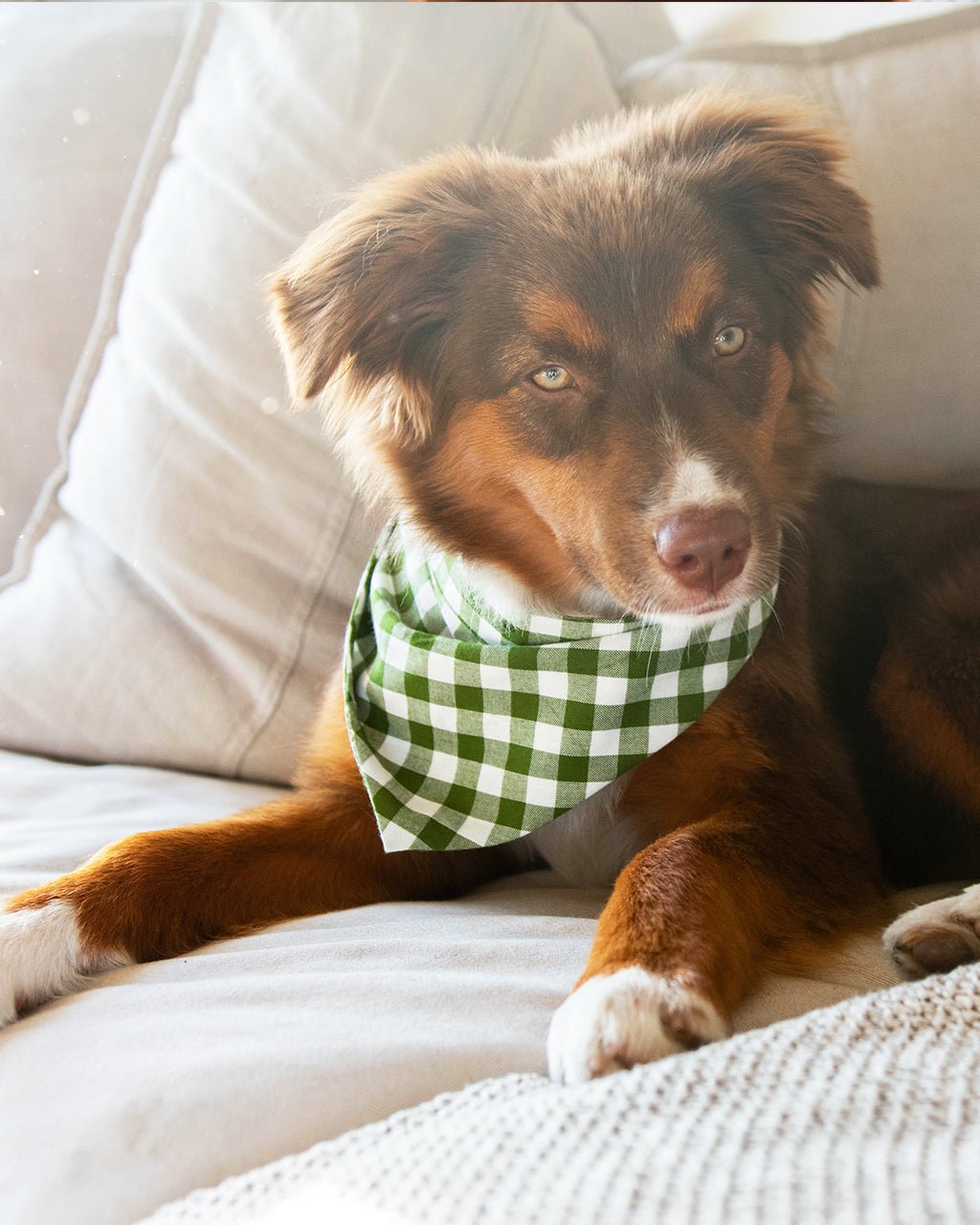 GINGHAM BANDANA - Che Cose Belle
