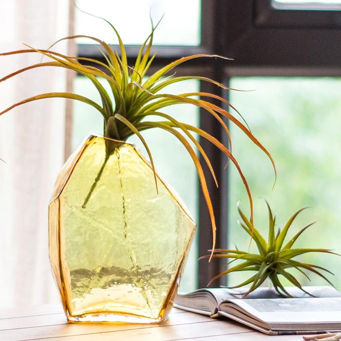 Glass Vase Hand Blown Glass Vase in Various Colors - Che Cose Belle