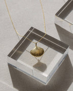 Gold Sanibel Necklace - Che Cose Belle