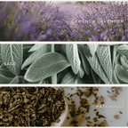 Green Floral Soy Candle - White Translucent Tinted Glass Jar - 12 oz (Lavender and Sage) - Che Cose Belle