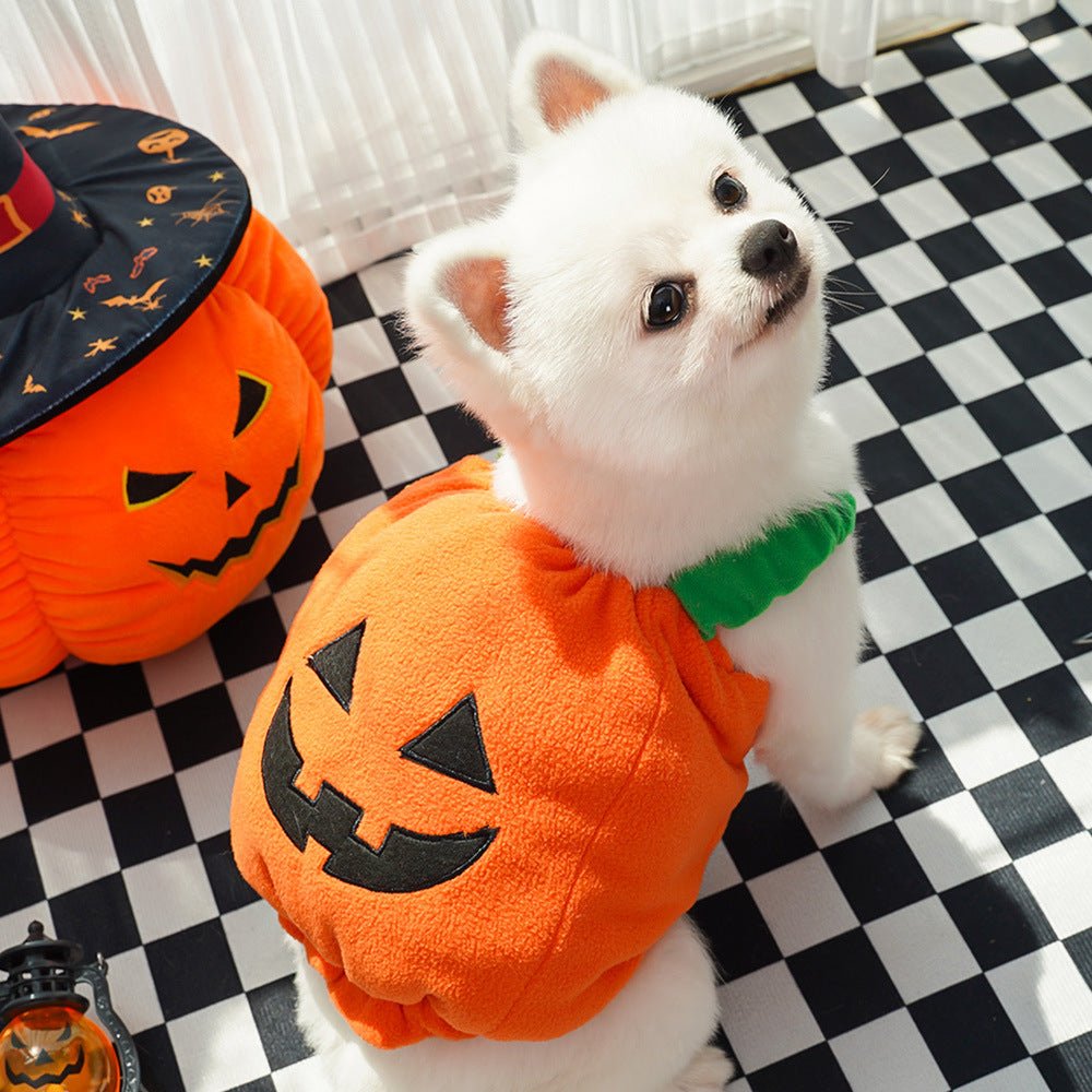 Halloween Pumpkin Vest For Dogs Cats Festive Pet Costume Harness Funny Thanksgiving Christmas Apparel For Small Animals Clothing - Che Cose Belle