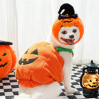 Halloween Pumpkin Vest For Dogs Cats Festive Pet Costume Harness Funny Thanksgiving Christmas Apparel For Small Animals Clothing - Che Cose Belle