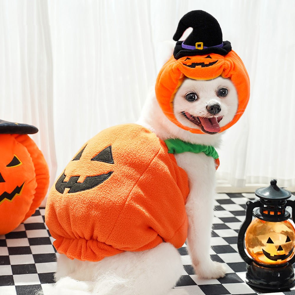 Halloween Pumpkin Vest For Dogs Cats Festive Pet Costume Harness Funny Thanksgiving Christmas Apparel For Small Animals Clothing - Che Cose Belle