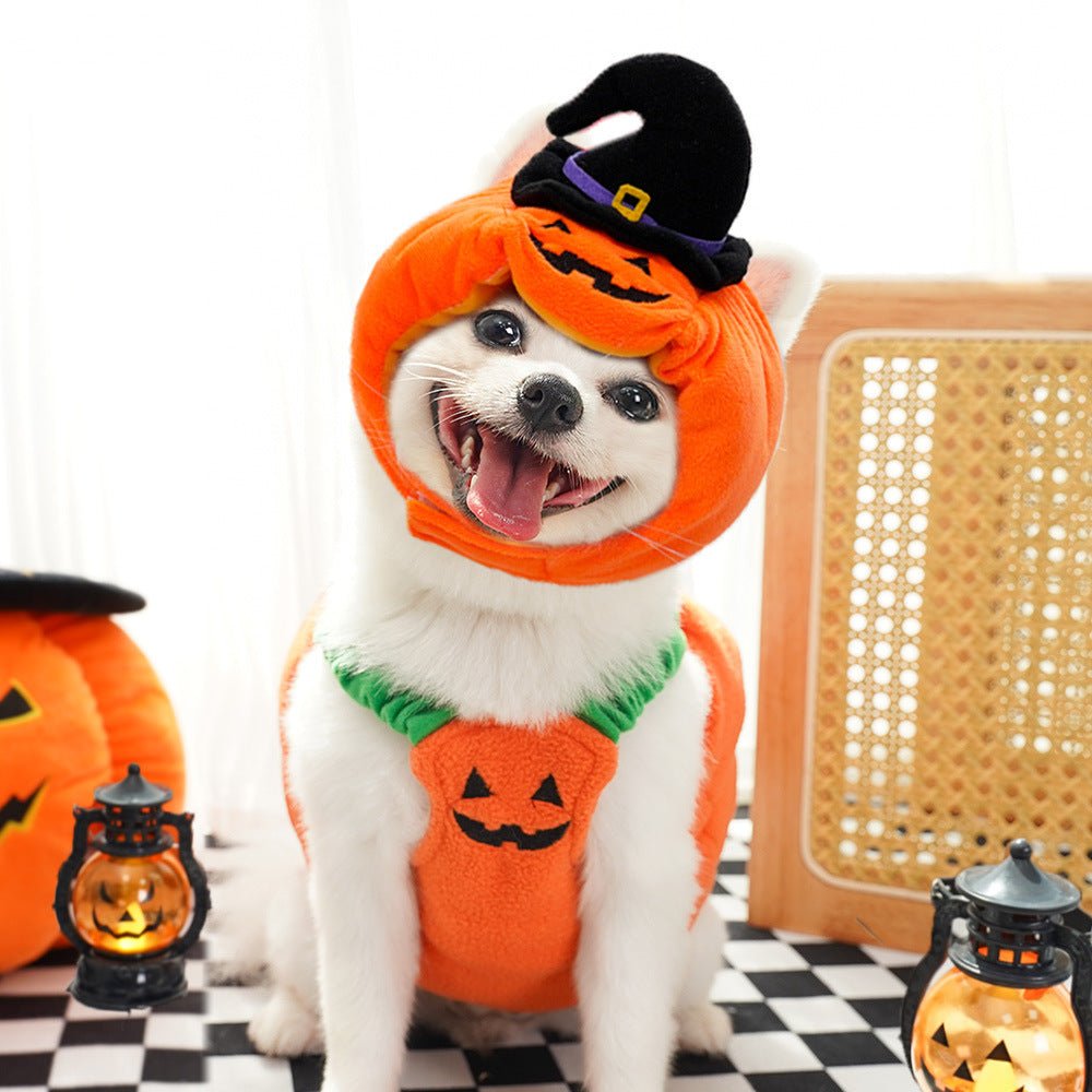 Halloween Pumpkin Vest For Dogs Cats Festive Pet Costume Harness Funny Thanksgiving Christmas Apparel For Small Animals Clothing - Che Cose Belle