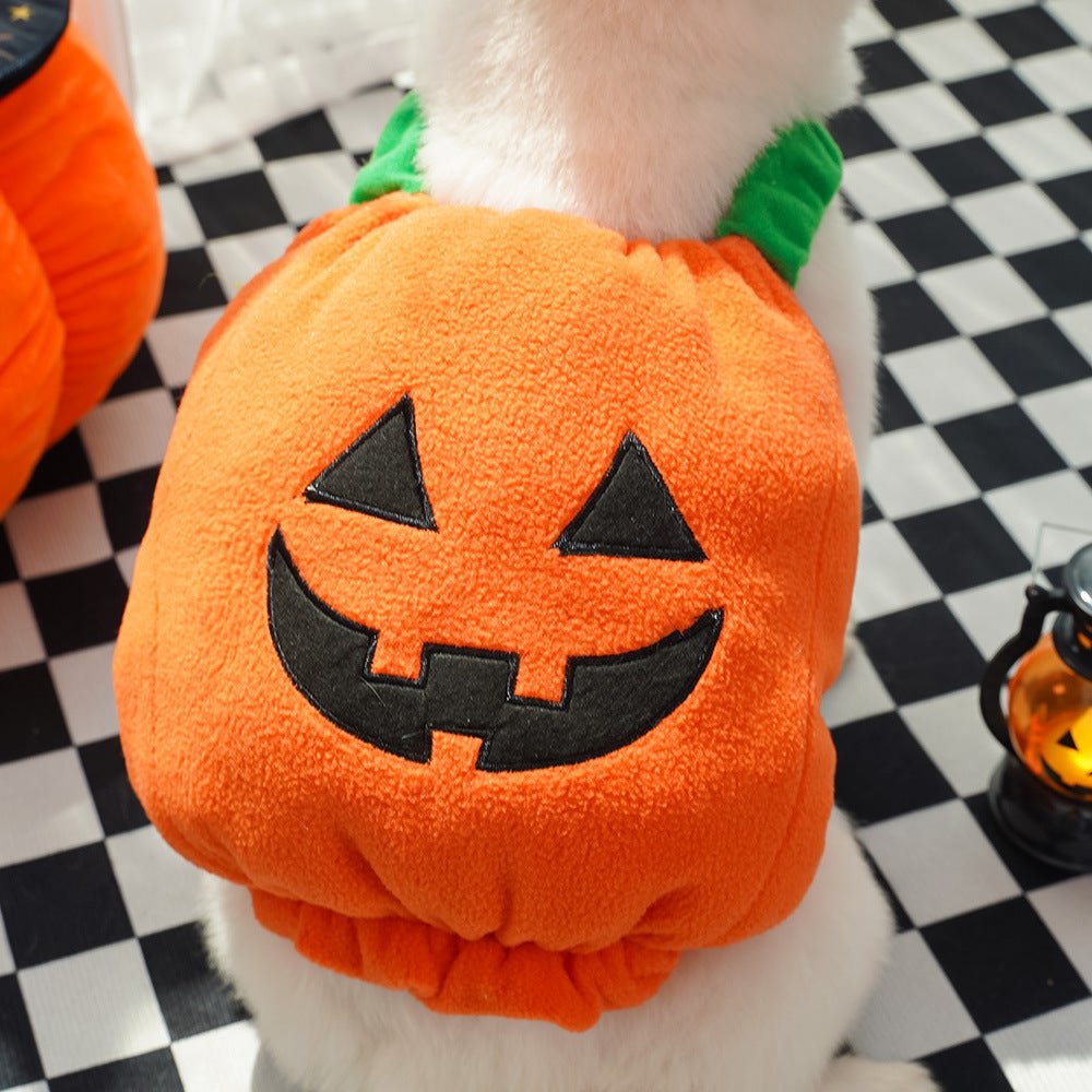 Halloween Pumpkin Vest For Dogs Cats Festive Pet Costume Harness Funny Thanksgiving Christmas Apparel For Small Animals Clothing - Che Cose Belle
