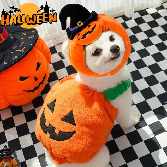 Halloween Pumpkin Vest For Dogs Cats Festive Pet Costume Harness Funny Thanksgiving Christmas Apparel For Small Animals Clothing - Che Cose Belle