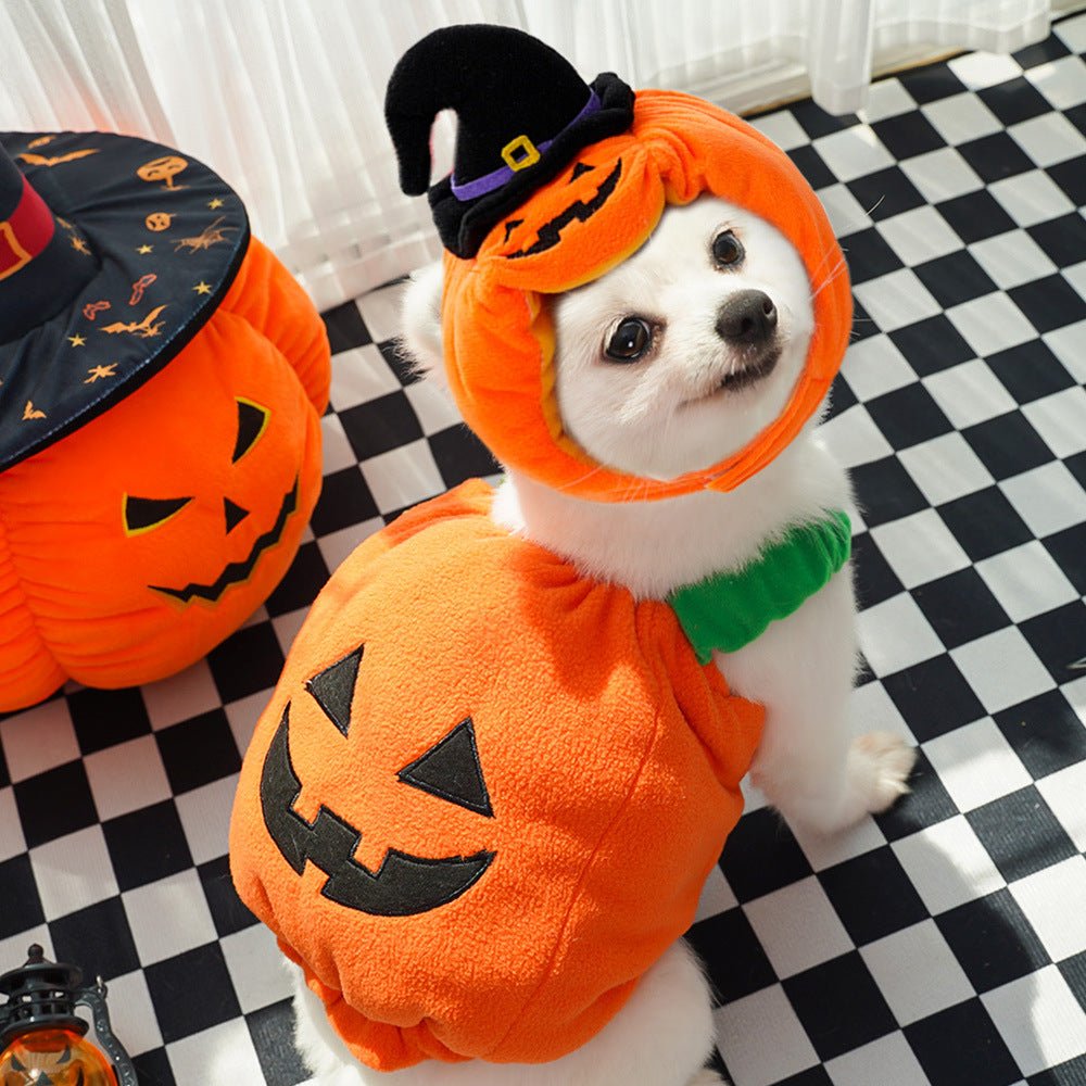 Halloween Pumpkin Vest For Dogs Cats Festive Pet Costume Harness Funny Thanksgiving Christmas Apparel For Small Animals Clothing - Che Cose Belle