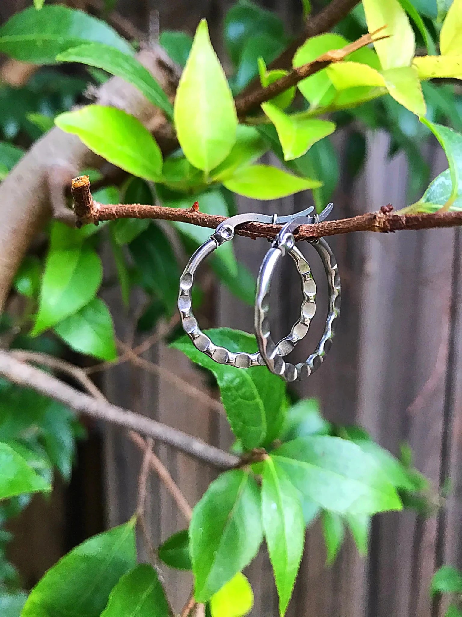 HAMMERED HOOPS - Che Cose Belle