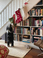 Hand Felted Wool Christmas Stocking - Bones Red Arcadia Home - Che Cose Belle