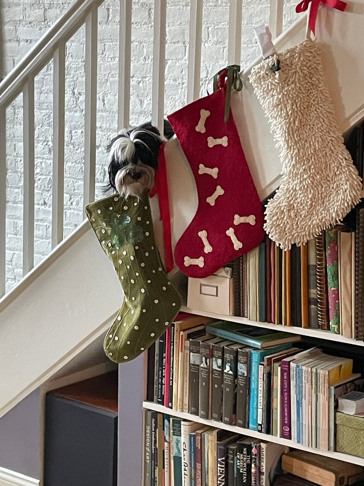 Hand Felted Wool Christmas Stocking - Bones Red Arcadia Home - Che Cose Belle