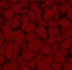 Hand Felted Wool Pillow Cover - Red Heart Cream - 20" Arcadia Home - Che Cose Belle