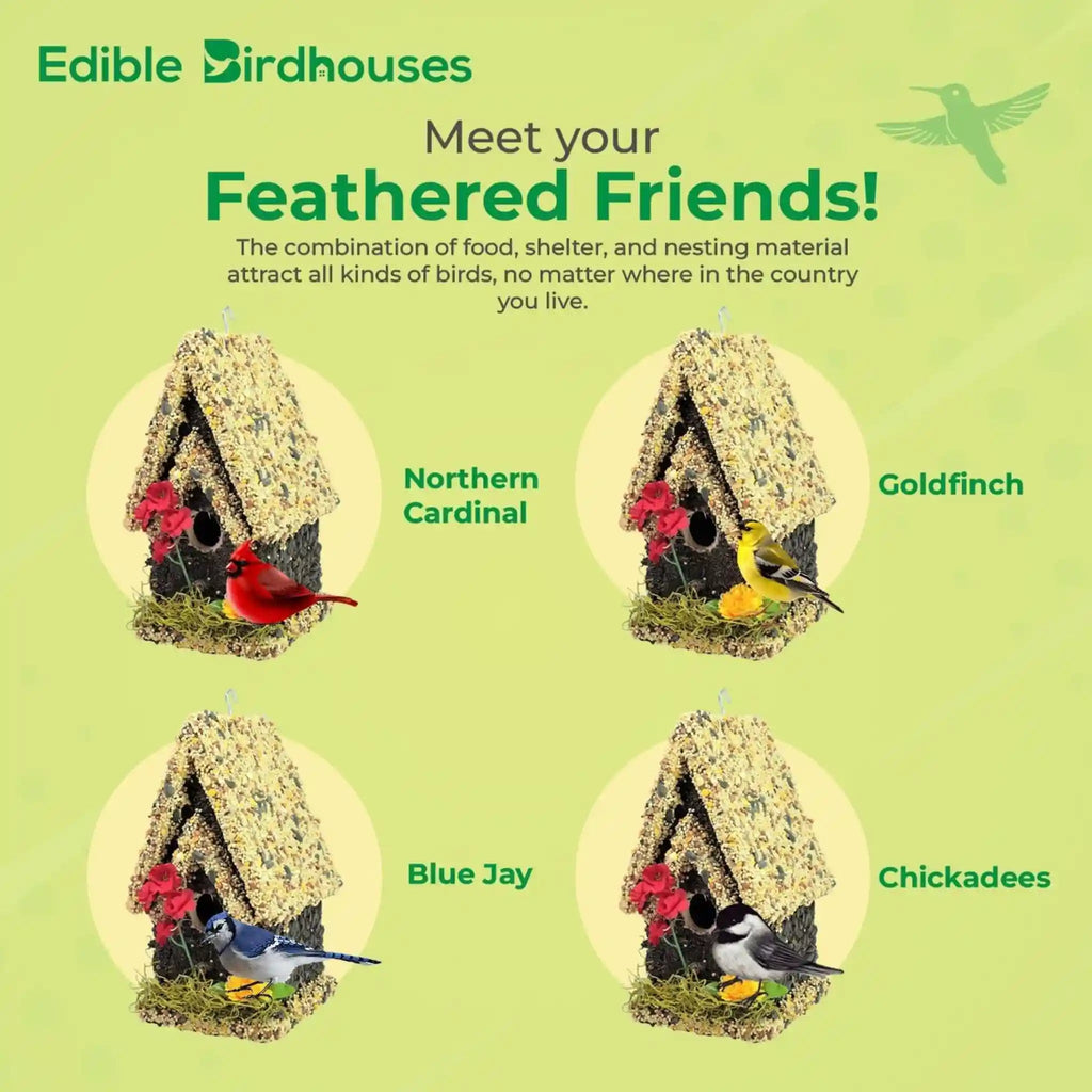 Handmade Edible Birdhouse - Light Roof, Tall Birdhouse Covered in Bird Seeds - Che Cose Belle