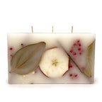 Harvest Cider 3 Wick Brick Botanical Candle - Che Cose Belle