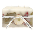 Harvest Cider 3 Wick Brick Botanical Candle - Che Cose Belle
