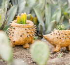 Hedgehog Planter - Coco Planter - Che Cose Belle