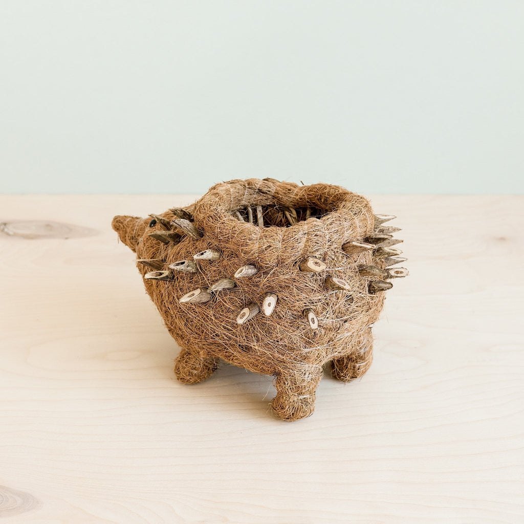 Hedgehog Planter - Coco Planter - Che Cose Belle