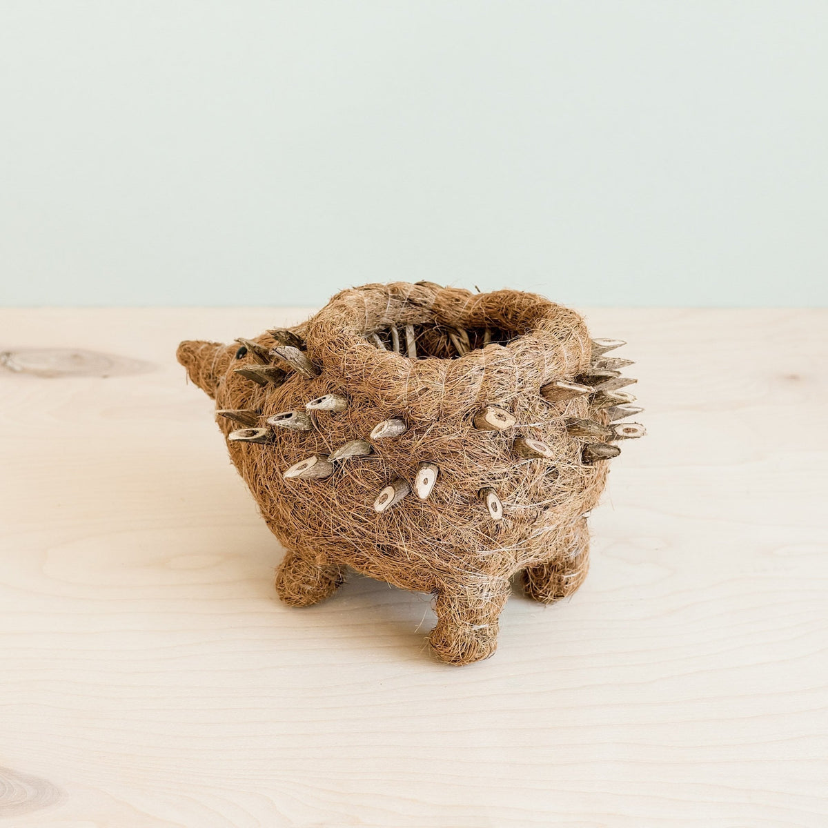 Hedgehog Planter - Coco Planter - Che Cose Belle