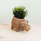 Hippo Planter - Coco Planter - Che Cose Belle