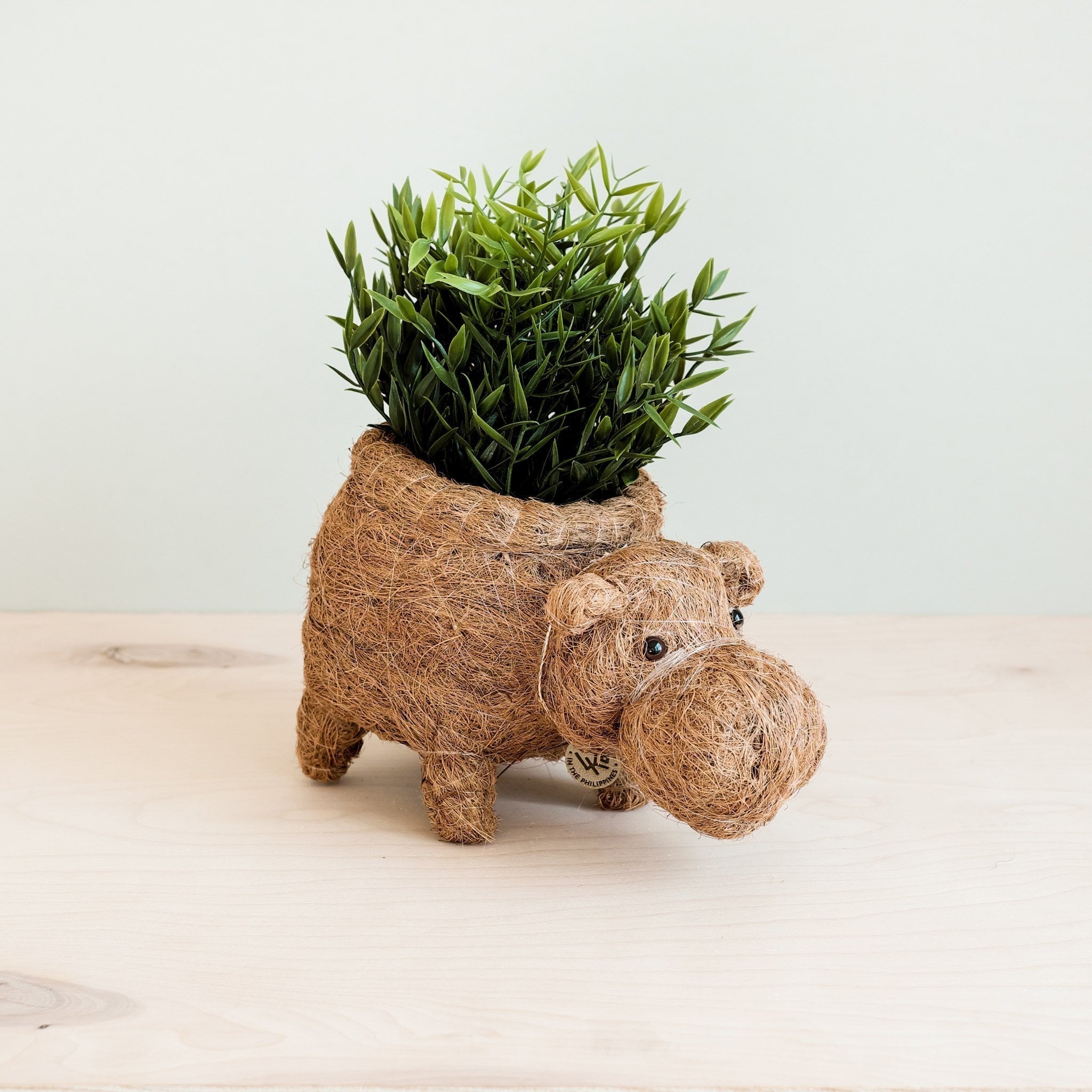 Hippo Planter - Coco Planter - Che Cose Belle