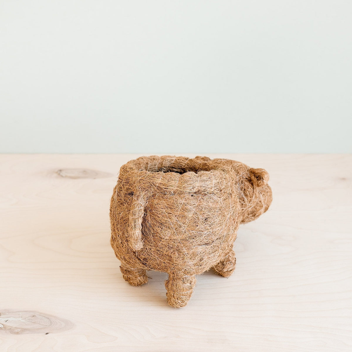 Hippo Planter - Coco Planter - Che Cose Belle