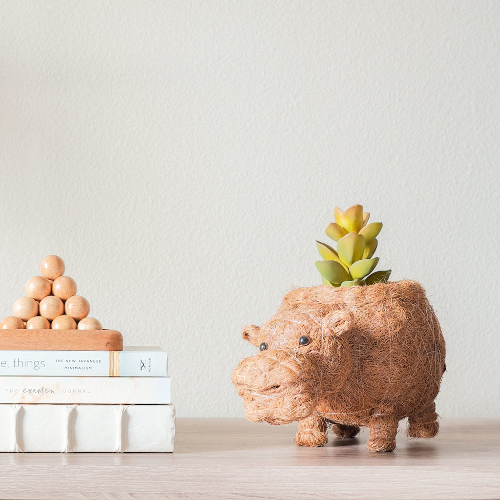 Hippo Planter - Coco Planter - Che Cose Belle