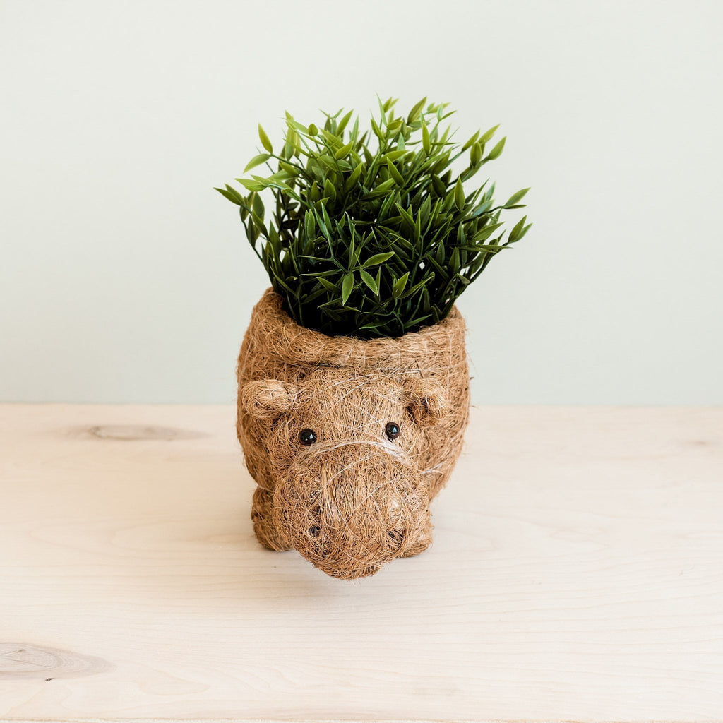 Hippo Planter - Coco Planter - Che Cose Belle