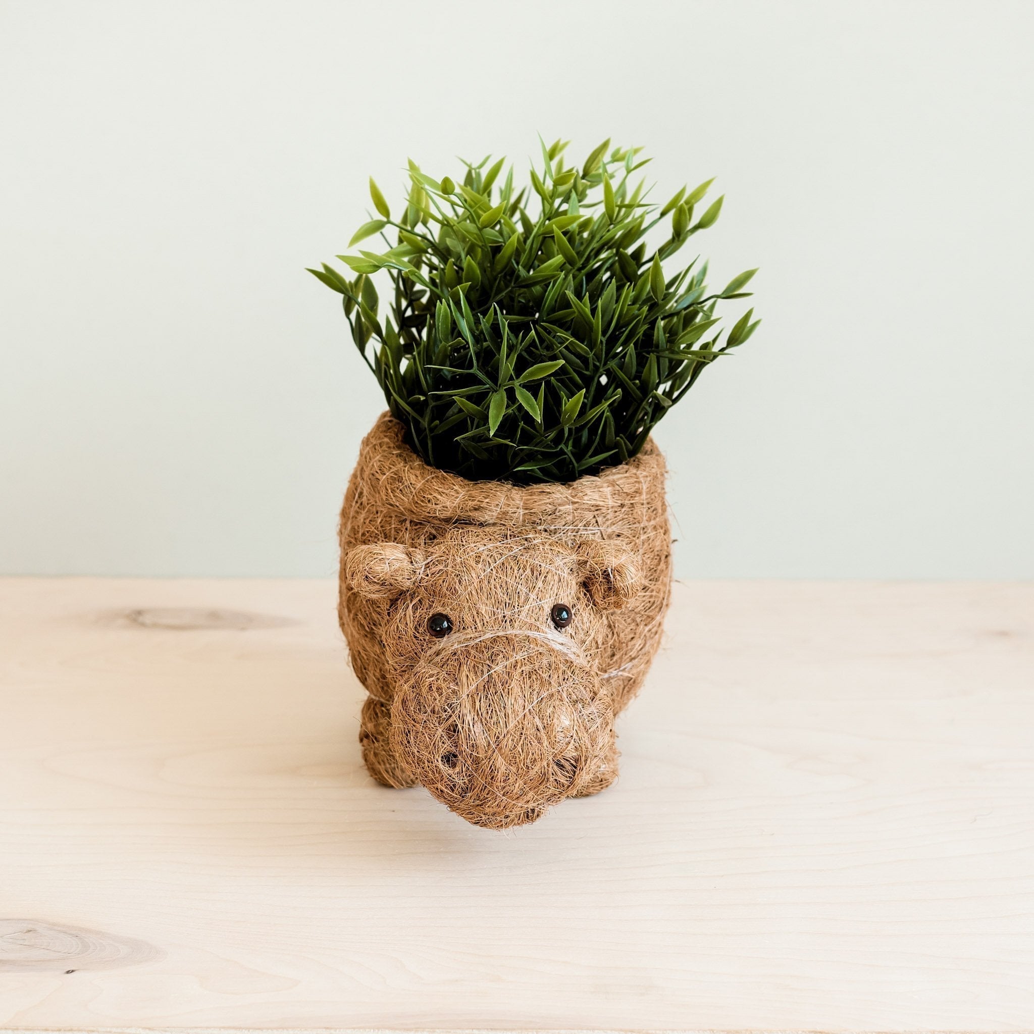 Hippo Planter - Coco Planter - Che Cose Belle