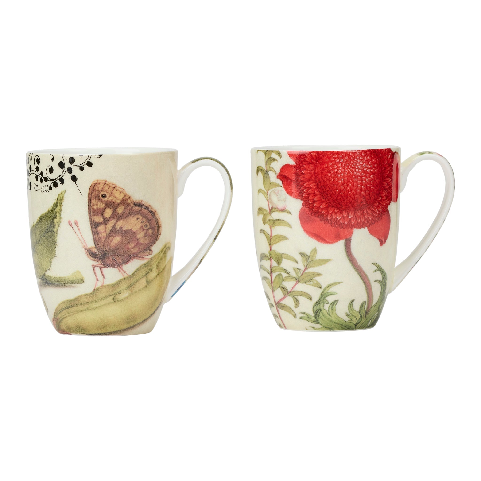 Hoefnagel Mug Pair - Che Cose Belle
