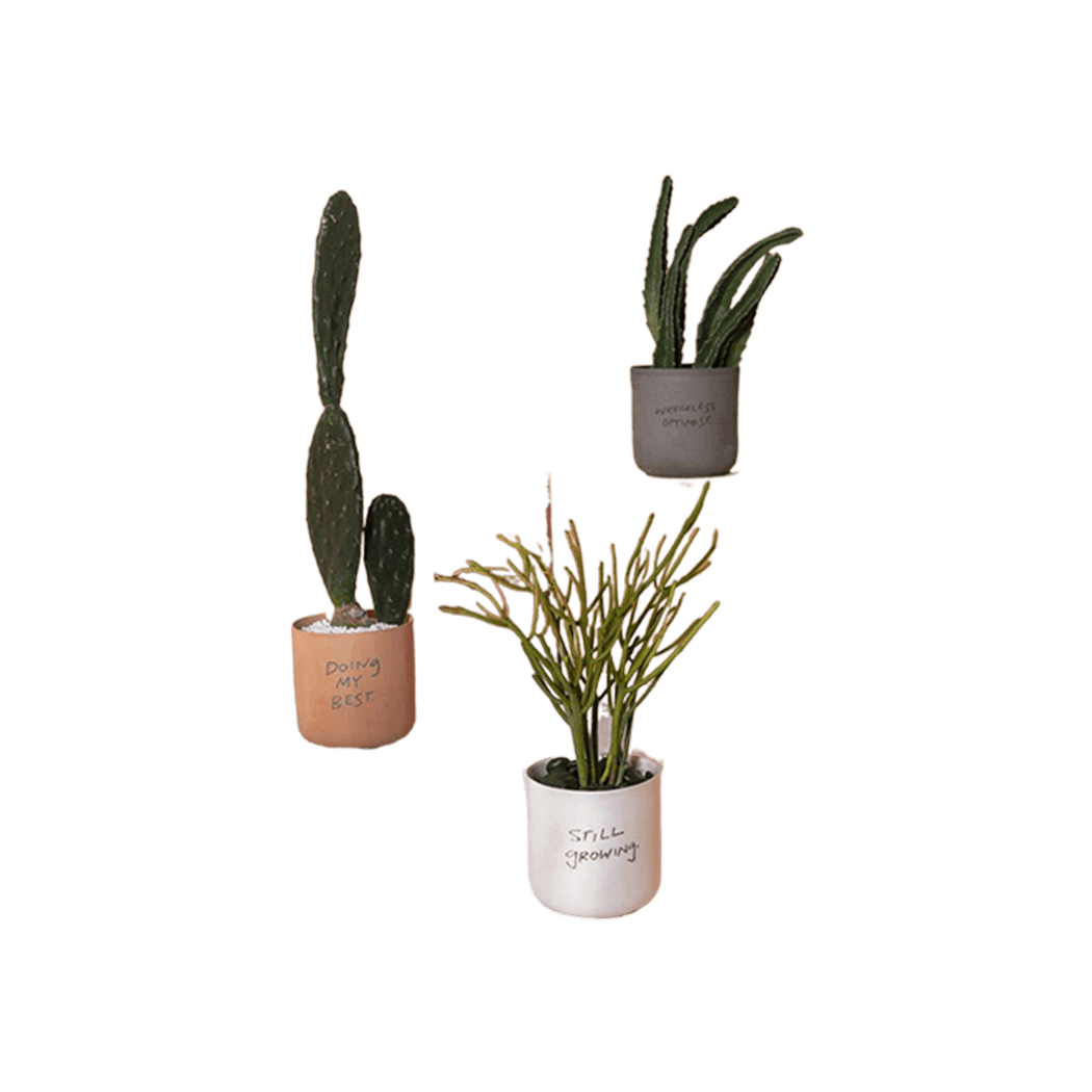 Honesty Pot Terra Cotta - Che Cose Belle