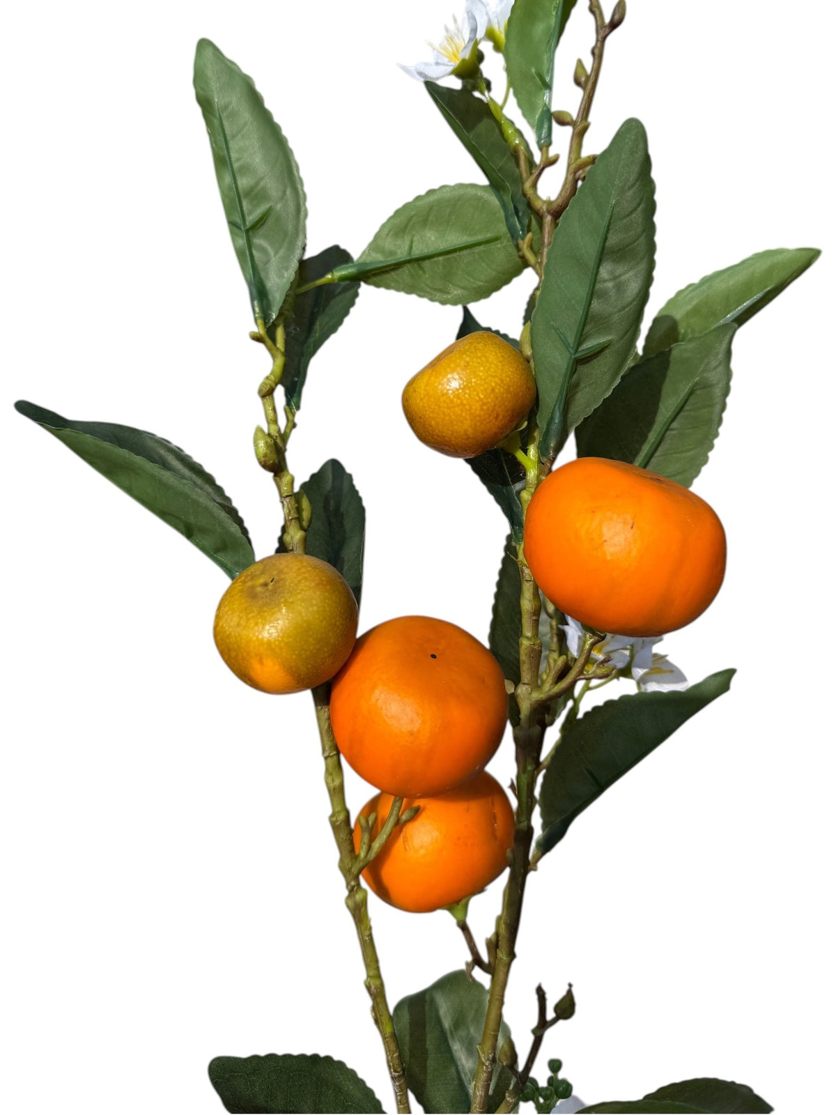 Honey Tangerine Branch Stem - Che Cose Belle